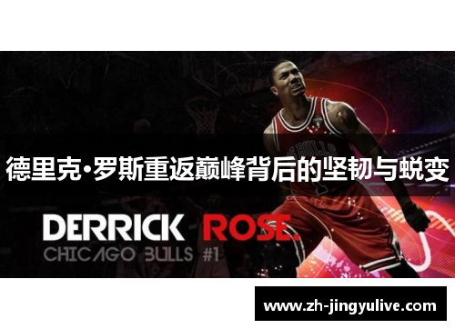 德里克·罗斯重返巅峰背后的坚韧与蜕变